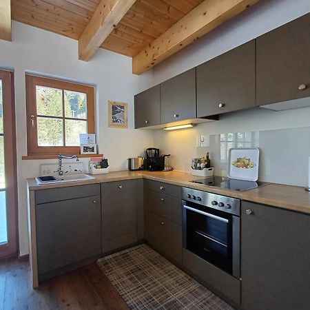 Tauerndorf Enzingerboden Ski in&out - Steinbock Lodges Exterior foto